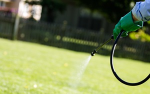 A Turf Management Professional Applying Lawn Care Spray to Lawn