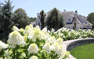 White Ornamentals On a Lawn