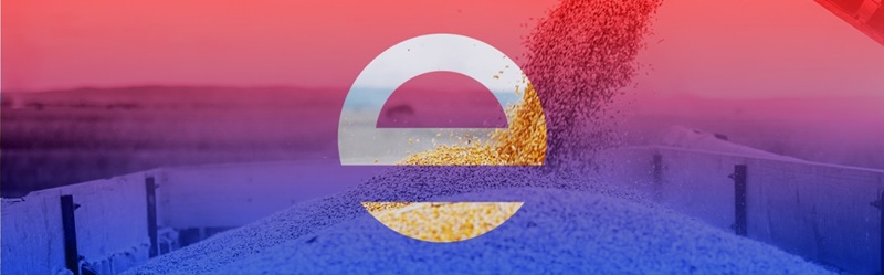 Stored grain management and protection solutions for preserving grain quality during storage