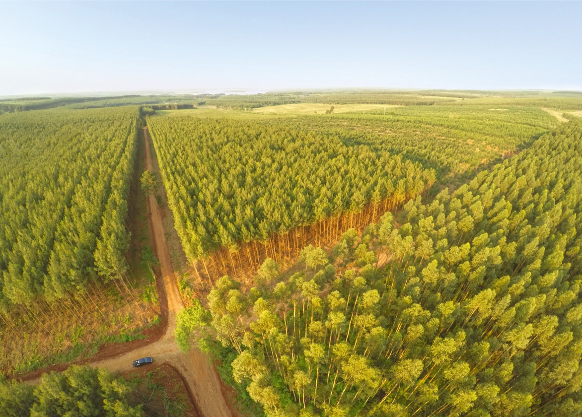 Focus on land restoration