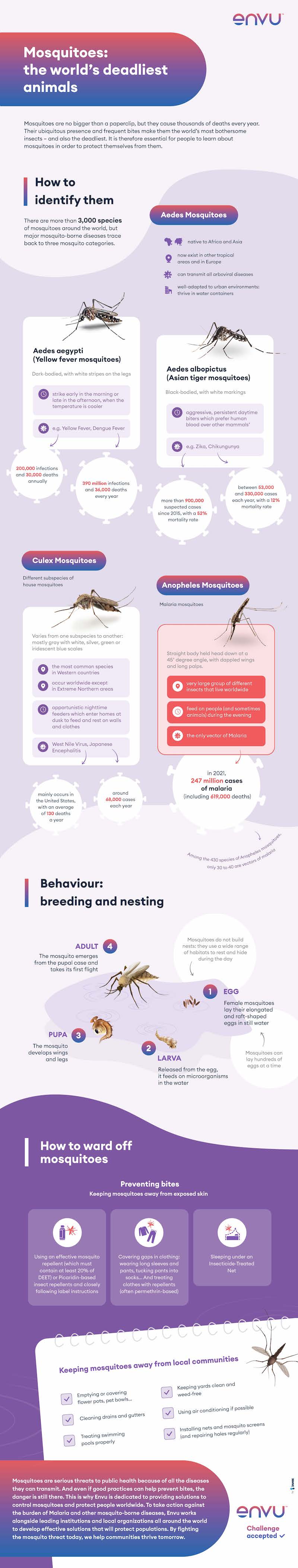 An infographic about mosquitoes.
