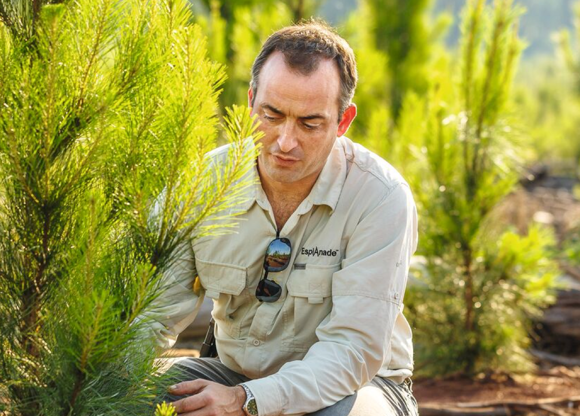 Man crouching tending to tree