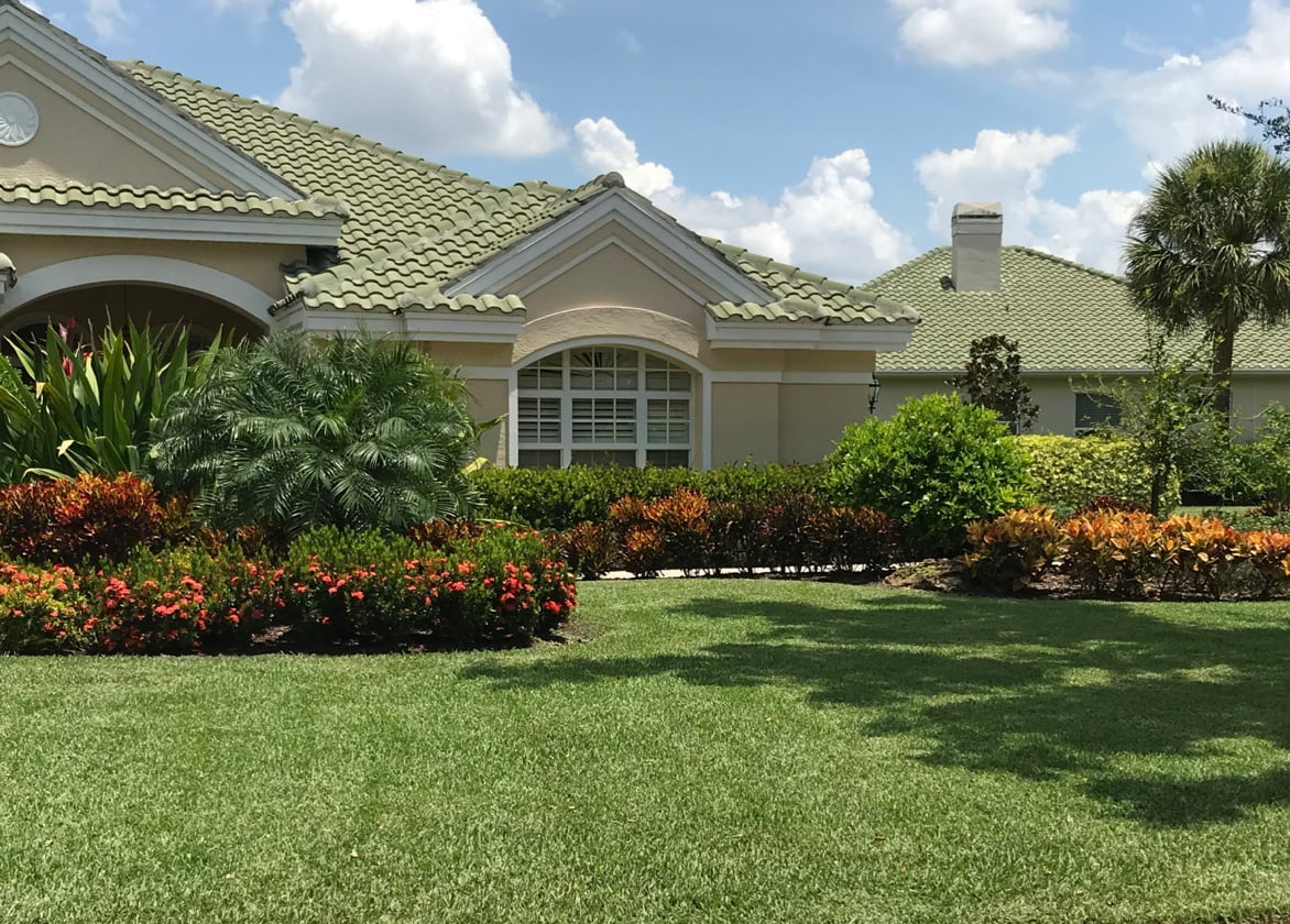 A stucco house with a manicured lawn and lush tropical plants. 