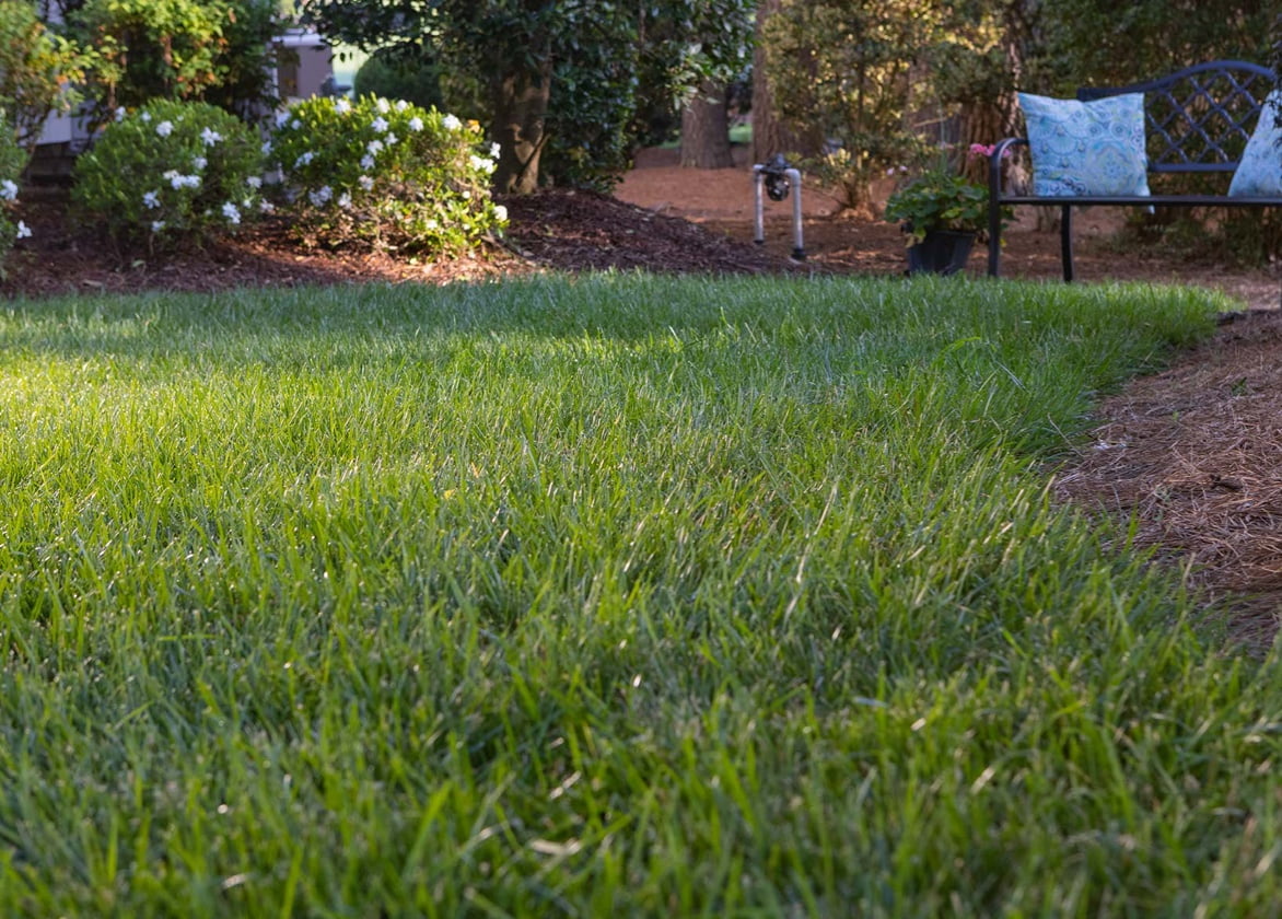A close up view of a healthy lawn with manicured gardens and a bench.