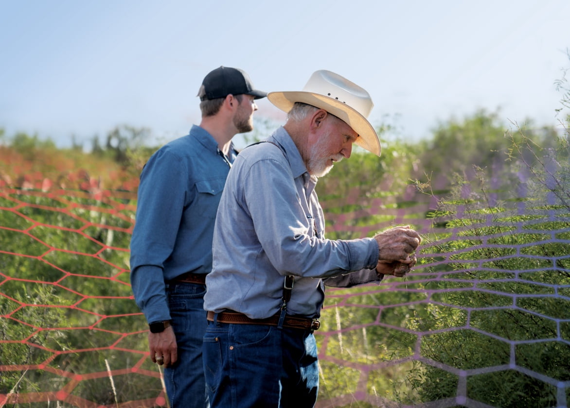 A man wearing a Stetson-style hat inspects pasture plants.