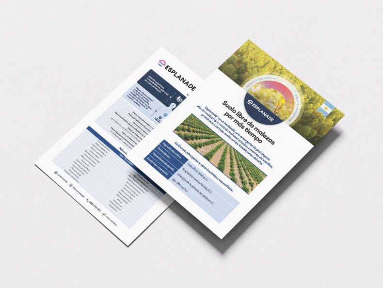 Imagen Mockup Flyer Esplanade