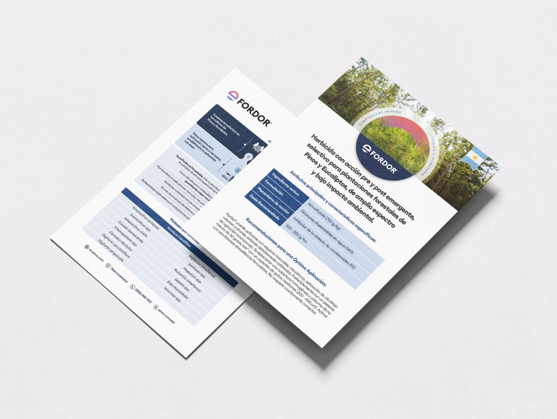 Imagen Mockup Flyer Fordor