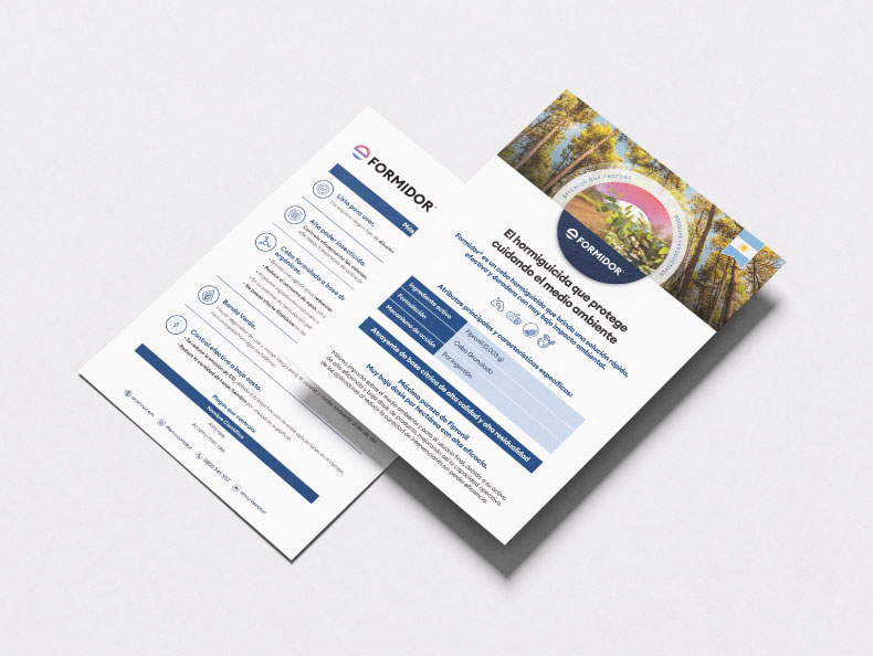 Imagen Mockup Flyer Formidor