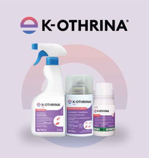LINEA KOTHRINA IMAGEN CORTA