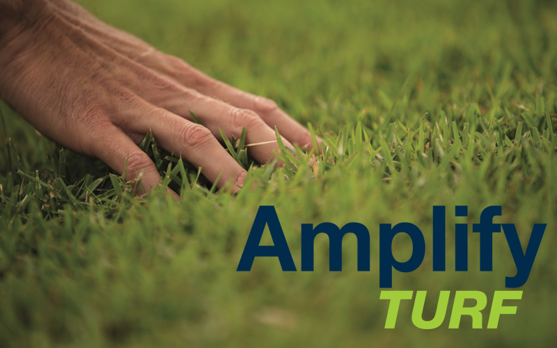 Amplify Turf