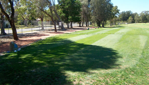 Strathfield Golf Club