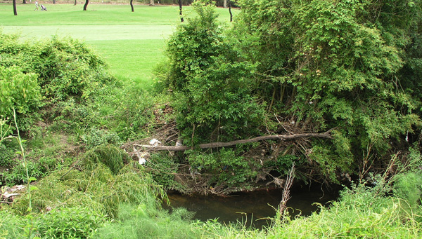 strathfield_gc