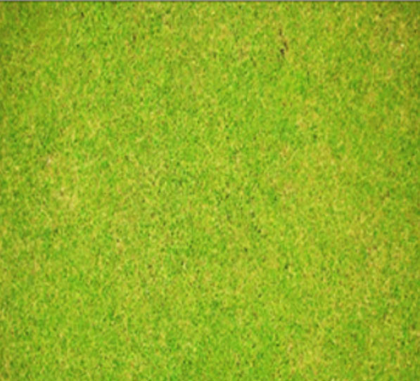 soil and plant health
