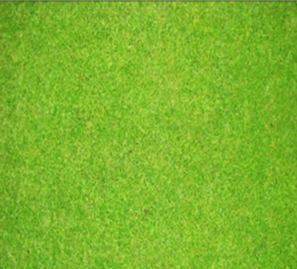soil and plant health