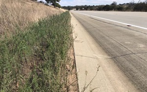 Vegetation Management Envu Environmental Science Australia
