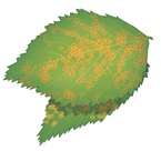 White rust - fungal turf disease - get rid of white rust