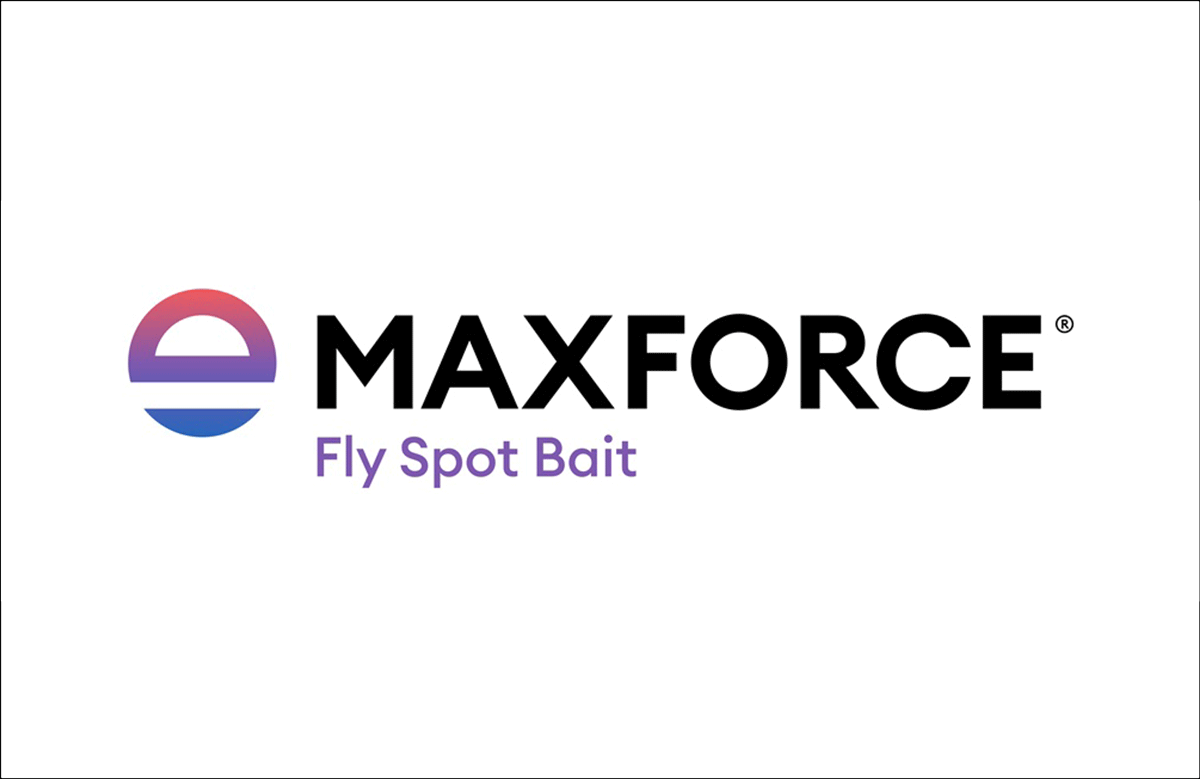 maxforce fly spot bait