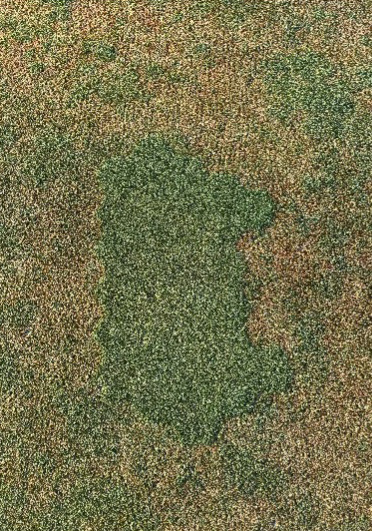 large area of decline