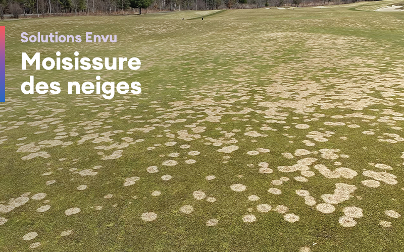 Solutions Envu – Moisissure des neiges