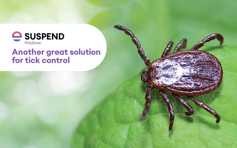 Suspend Polyzone Another great solution for tick control