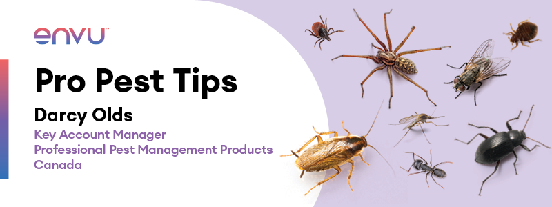 Pro Pest Tips Darcy Olds Key Account Manager