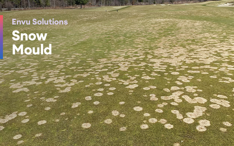 Envu Solutions Snow Mould