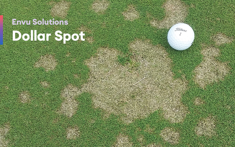 Envu Solutions - Dollar Spot