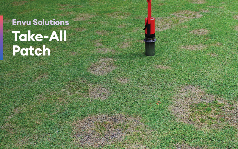 Envu Solutions Take-allPatch