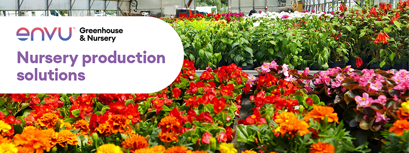 Nursery production solutions