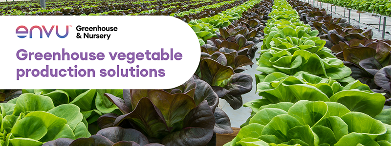 Greenhouse vegetable production solutions