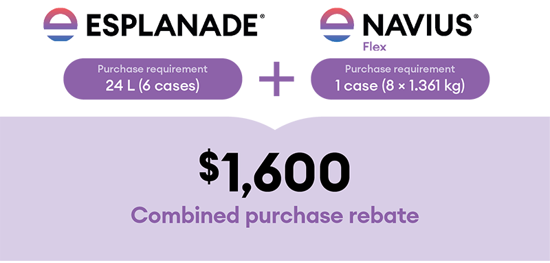 bareground program esplanade-tear rebate