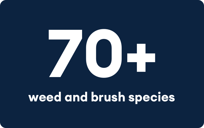 70 plus weed and brush species