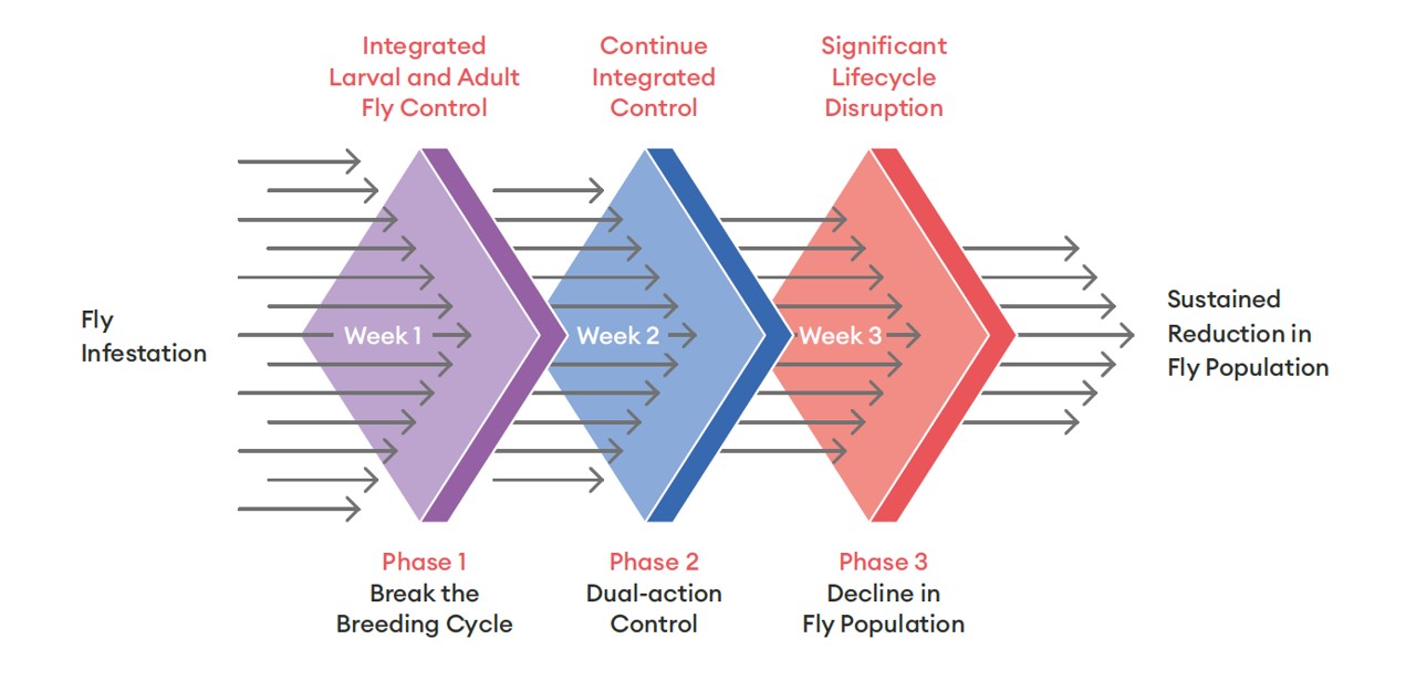 Integrated 3-phase Fly Management