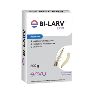 Bi-Larv