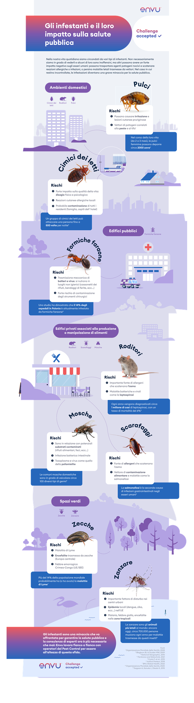 infografica sugli insetti dannosi per l'igiene e la salute