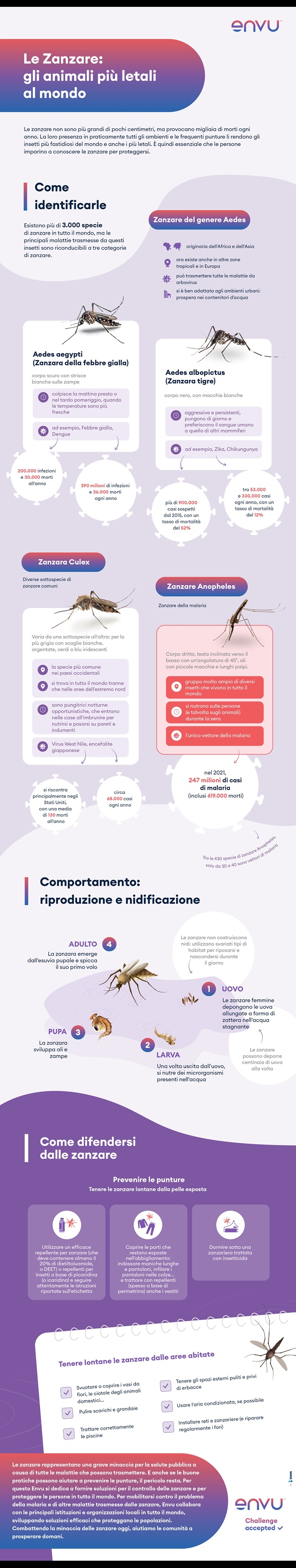Infografica Zanzare 2023