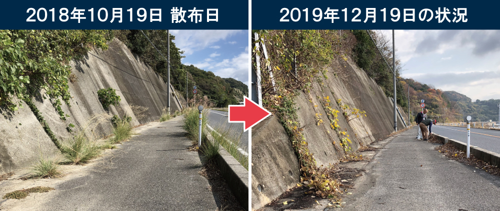 刈取りゼロの事例２－処理区