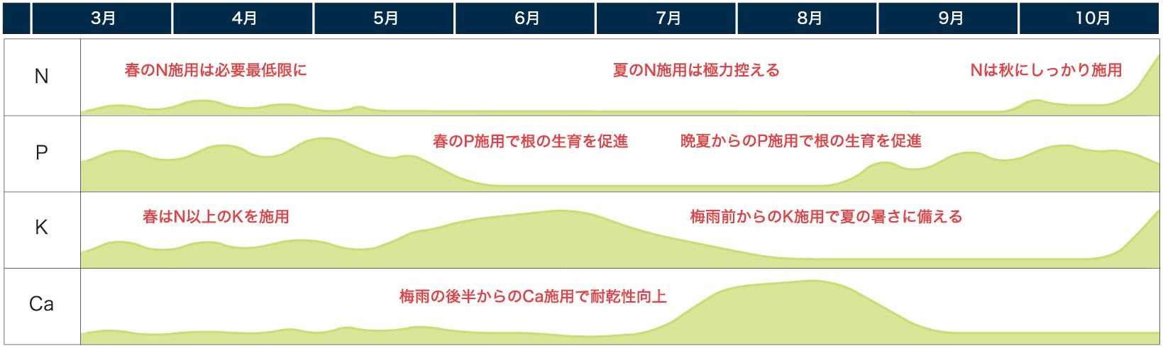 施肥イメージ図