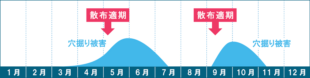 ケラの被害発生時期と殺虫剤の散布タイミング