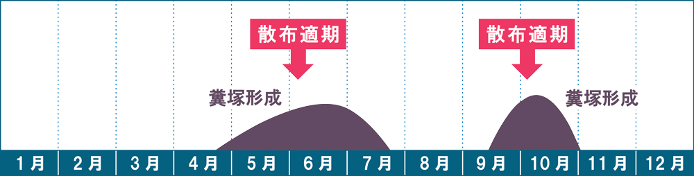 ミミズの糞塚形成時期と殺虫剤の散布適期