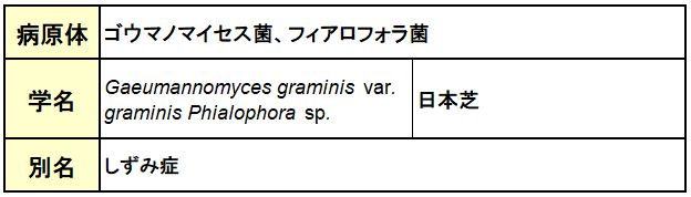 ゾイシアデクライン（日本芝立枯病）