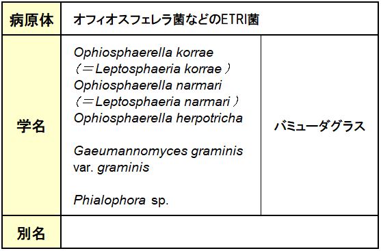 スプリングデッドスポット