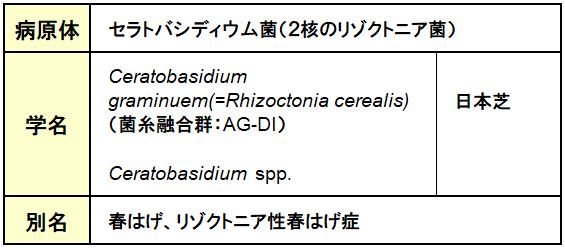 疑似葉腐病（春はげ症）