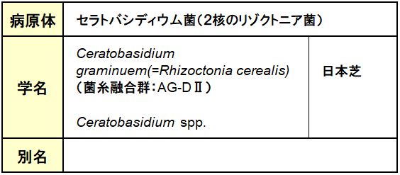 疑似葉腐病（象の足跡）
