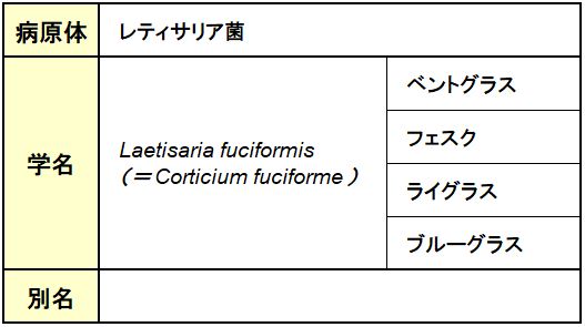 赤葉腐病（レッドスレッド）