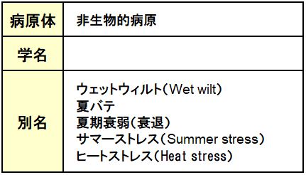 サマーデクライン