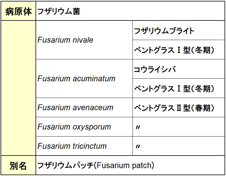 フザリウム病