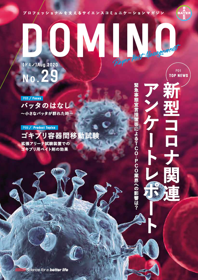 ドミノ29号