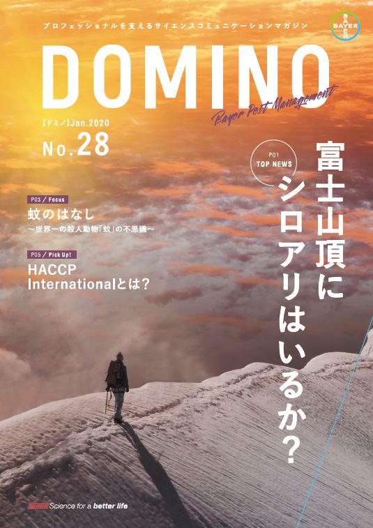 ドミノ28号