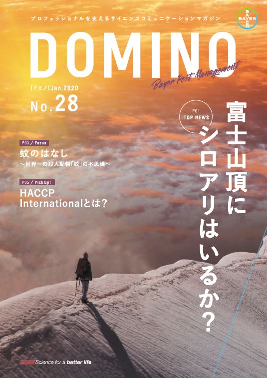 ドミノ28号
